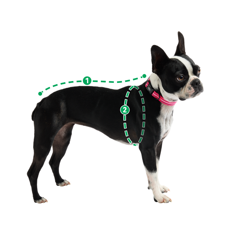 Heritage Pet Sweater (Hazel)