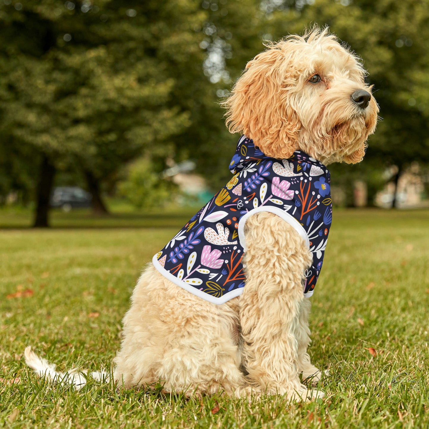 Dog Hoodie