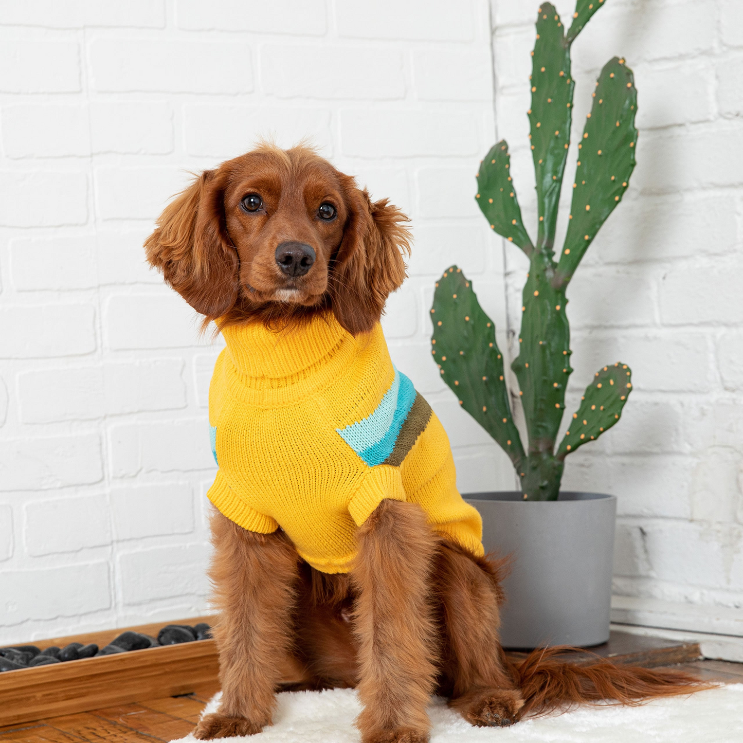 Alpine Sweater (Yellow)