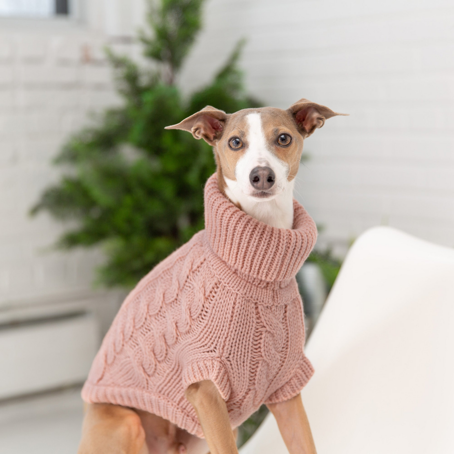 Chalet Dog Sweater (Pink)