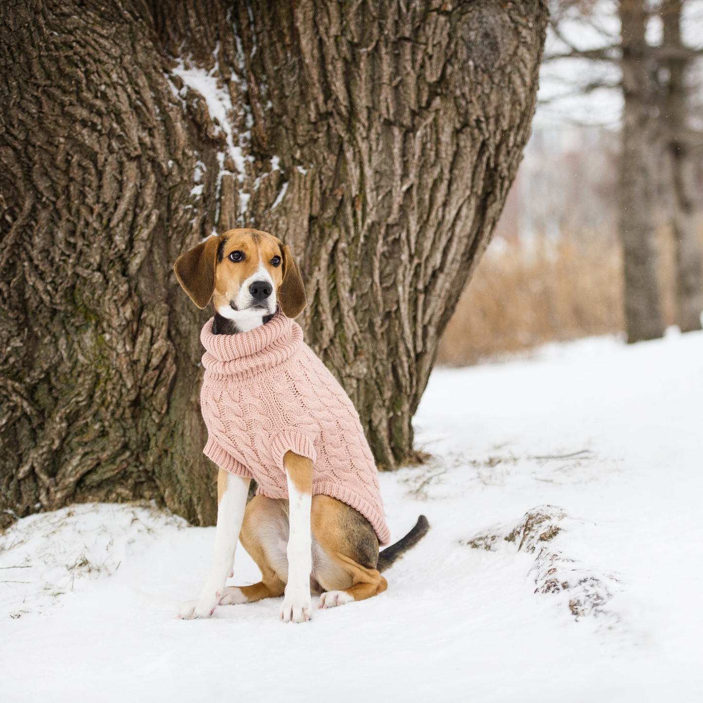 Chalet Dog Sweater (Pink)