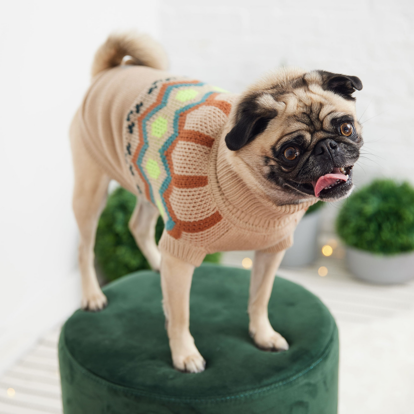 Heritage Pet Sweater (Sand)