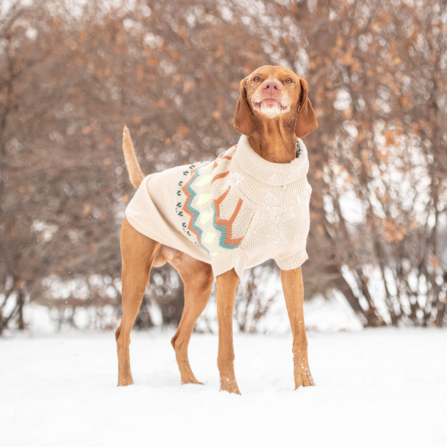 Heritage Pet Sweater (Sand)