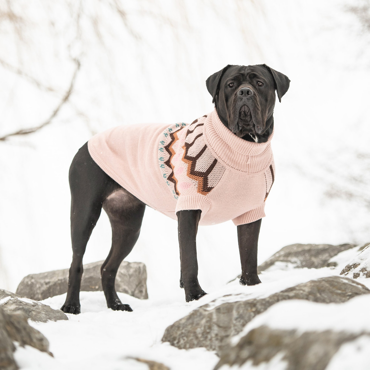 Heritage Pet Sweater (Pink)