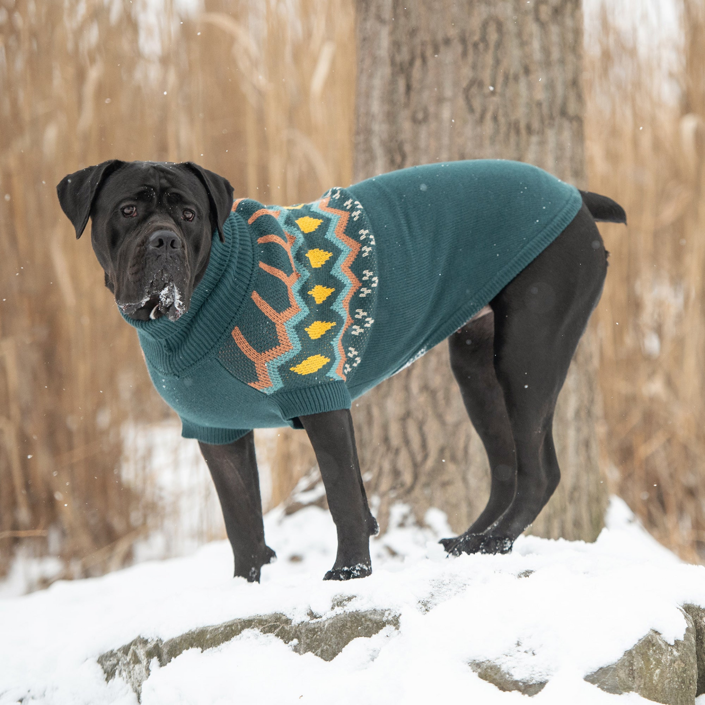 Heritage Sweater (Teal)