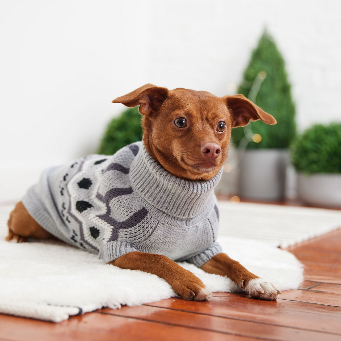 Heritage Pet Sweater (Grey Mix)