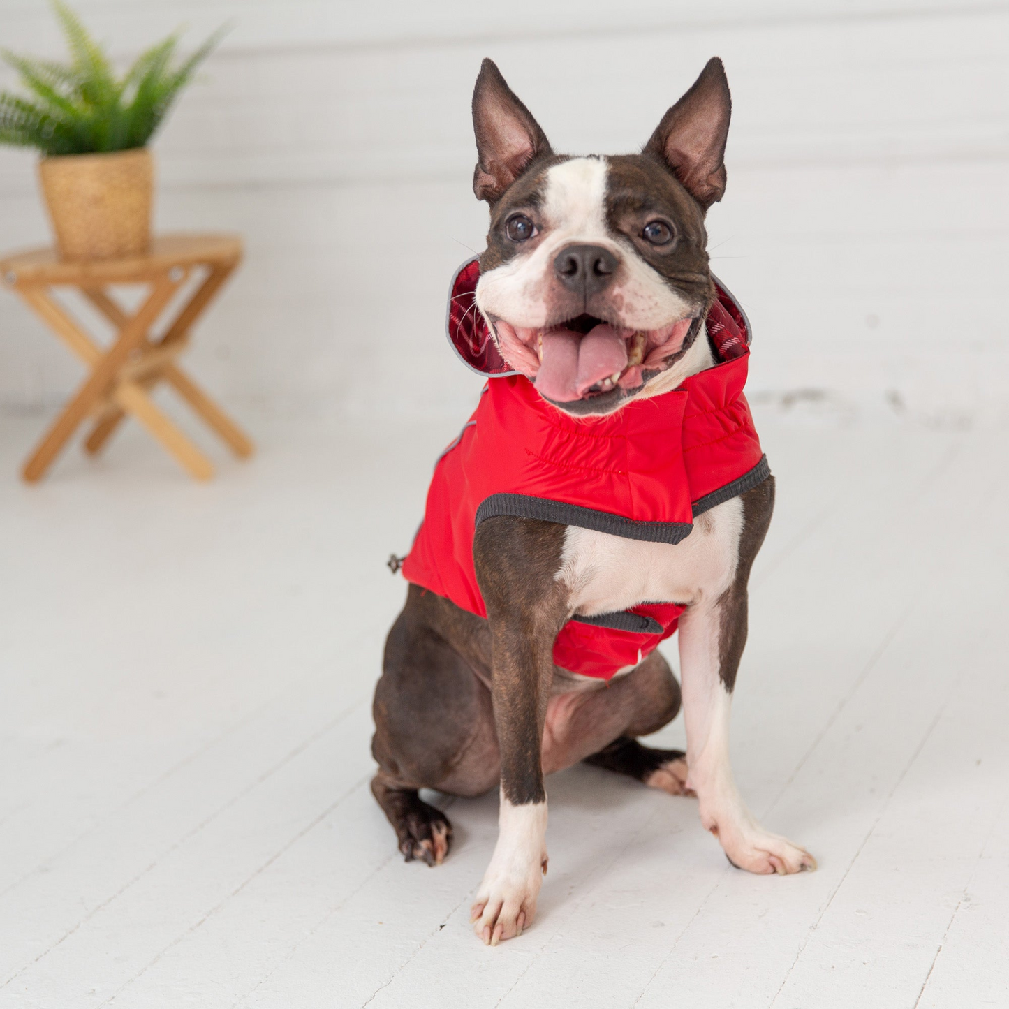 Reversible Elasto-Fit Raincoat (Red)