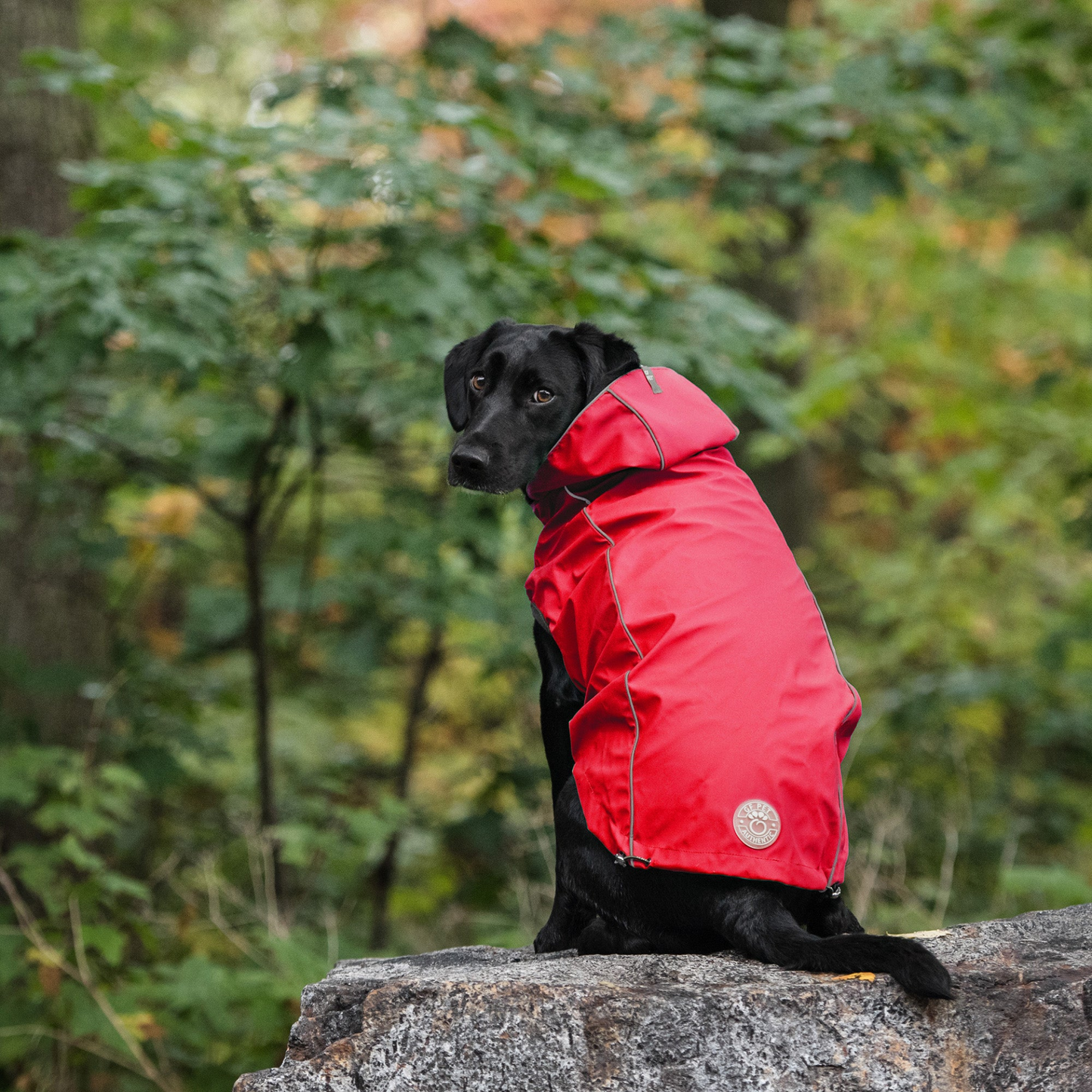 Reversible Elasto-Fit Raincoat (Red)