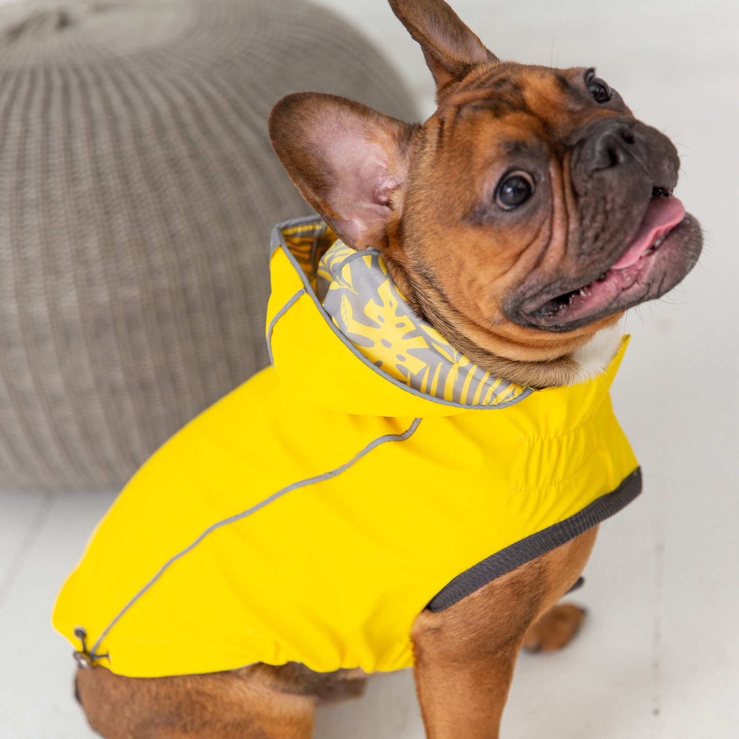 Reversible Elasto-Fit Raincoat (Yellow)