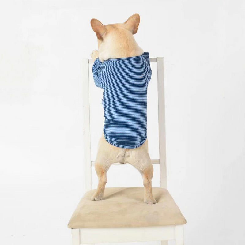 Pet Shirt