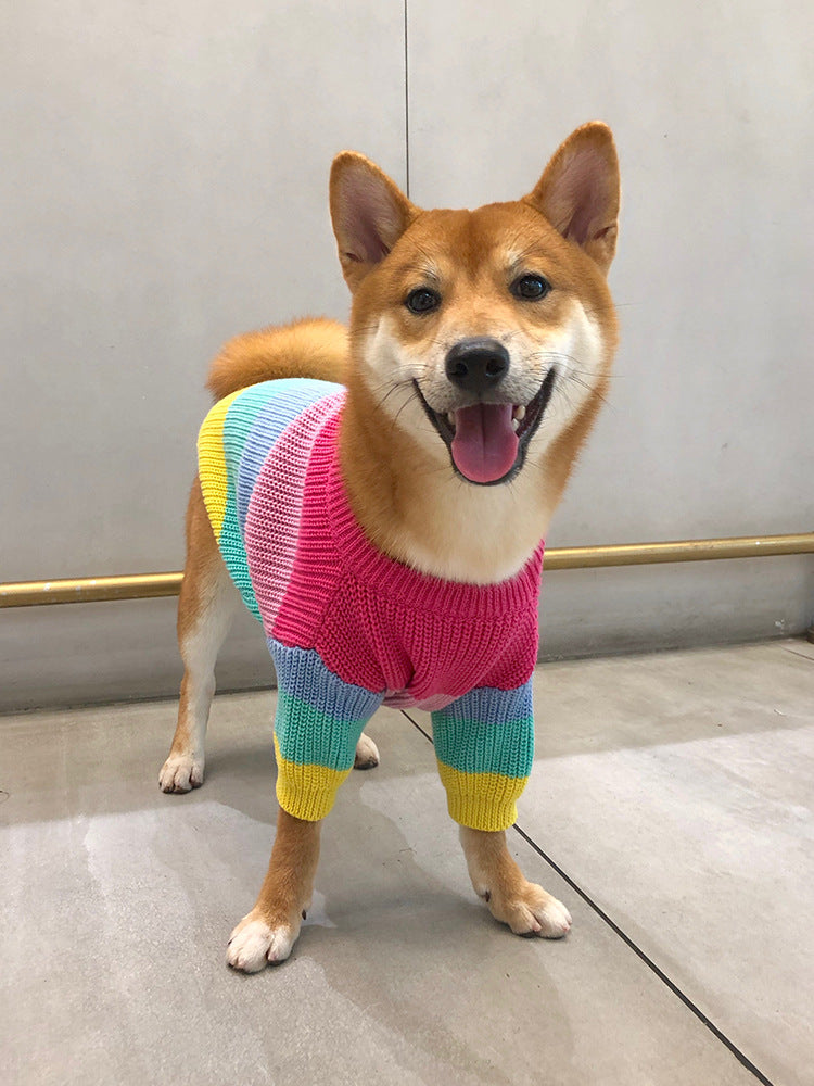 Pet Sweater