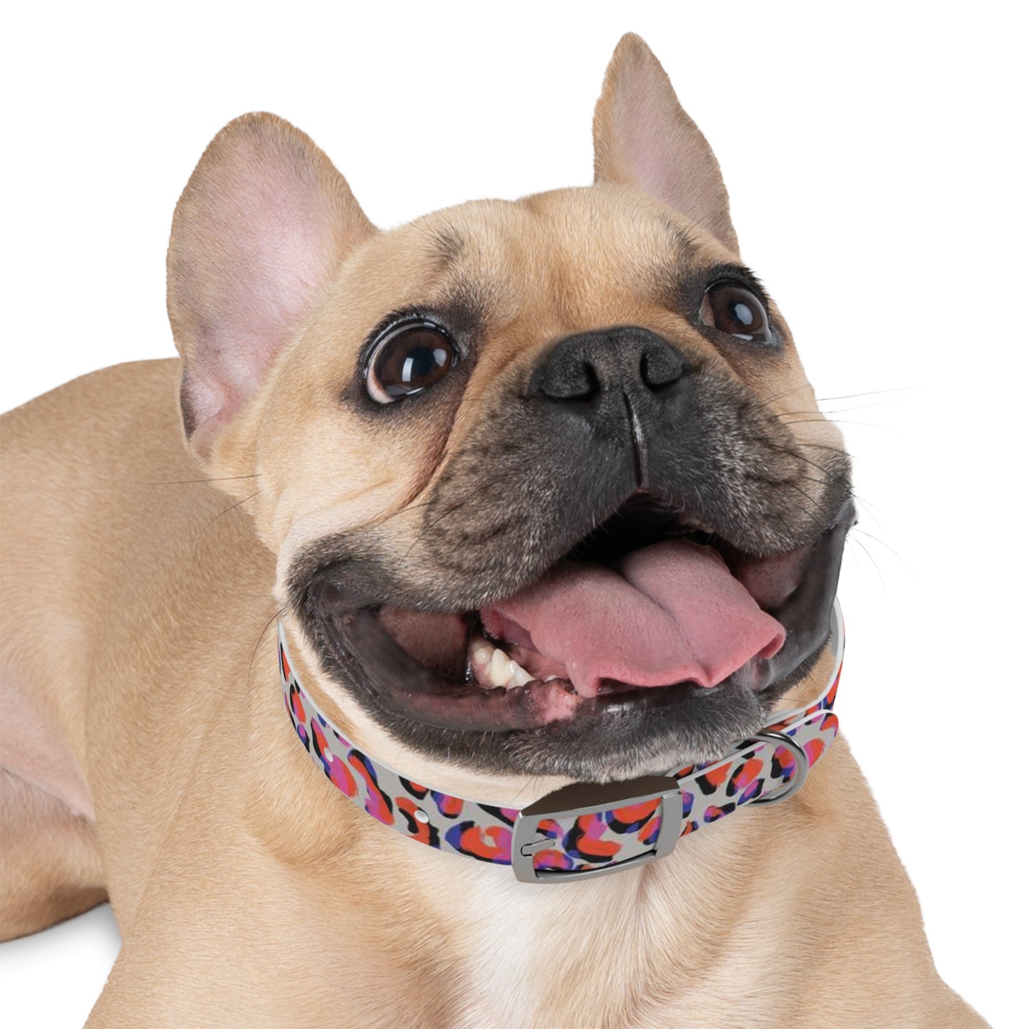 Dog Collar