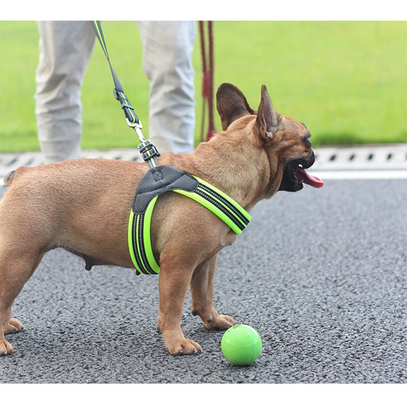 Reflective Dog Harness