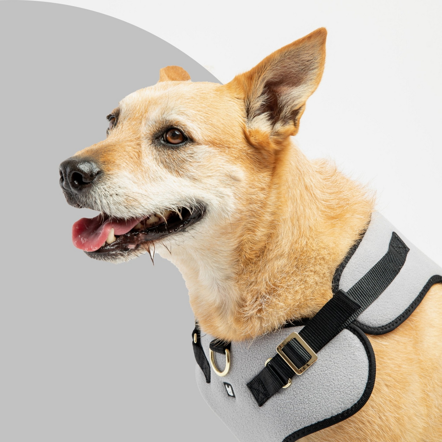 Aquafleece Dog Harness (Grey)