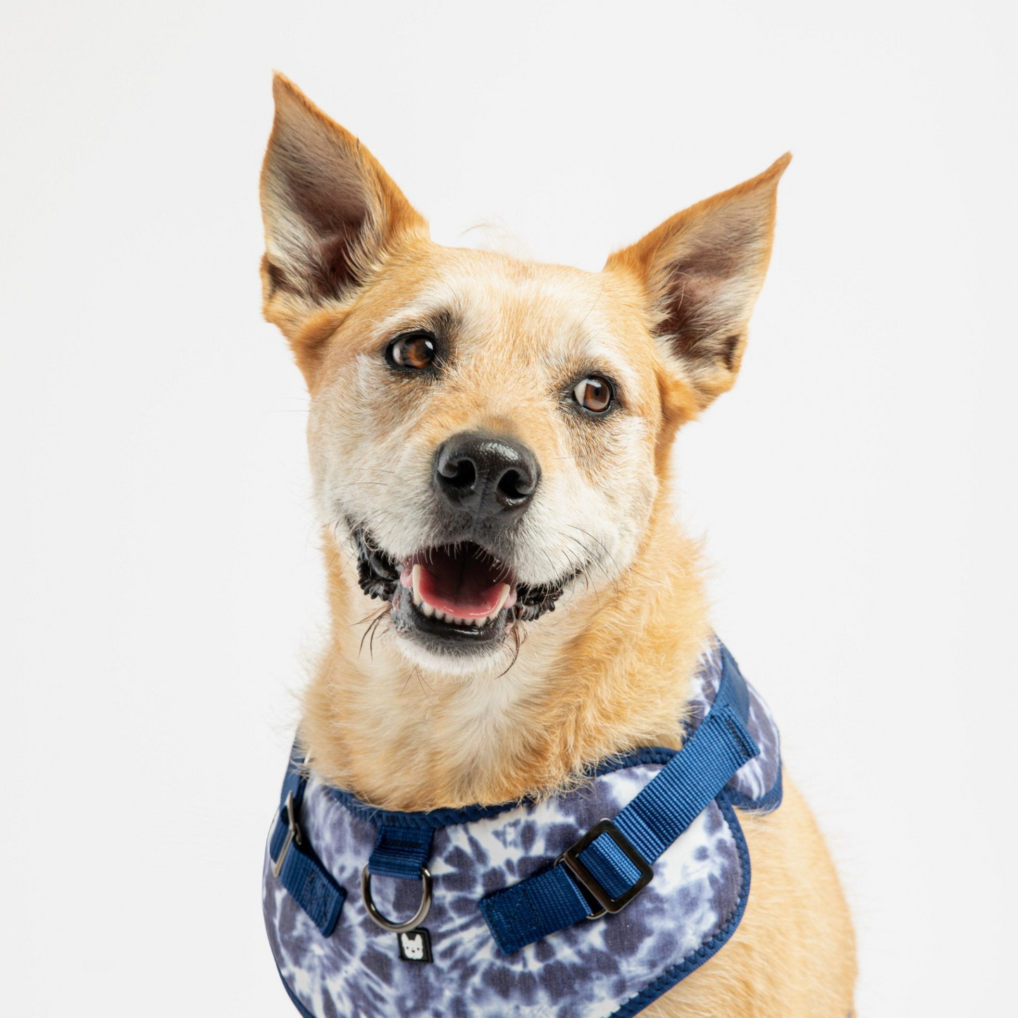 Poplin Dog Harness (Blue Tie Dye)