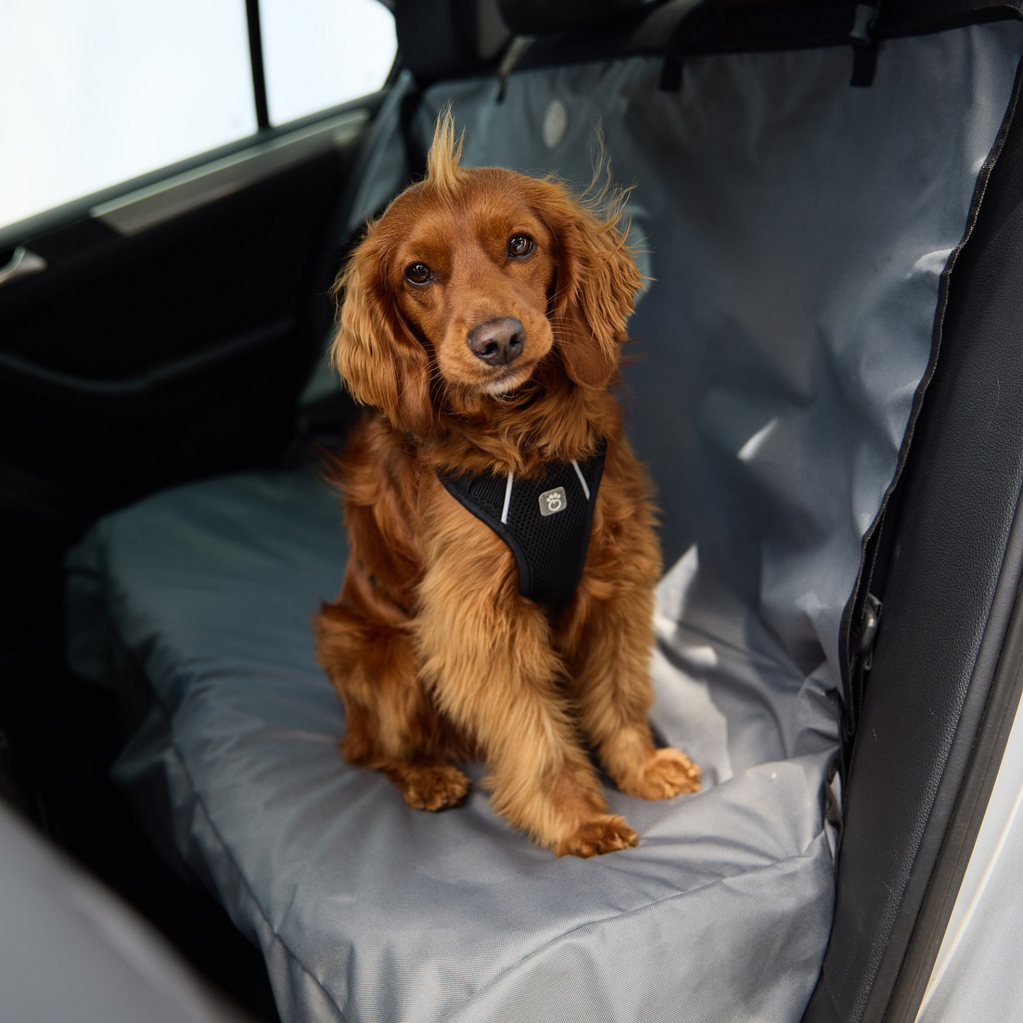 Travel Harness (Black)