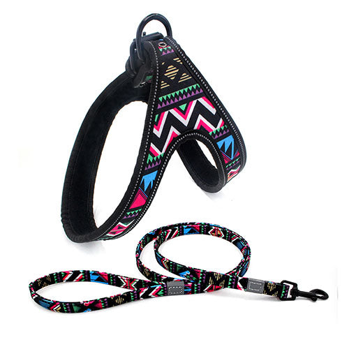 Dog Harness