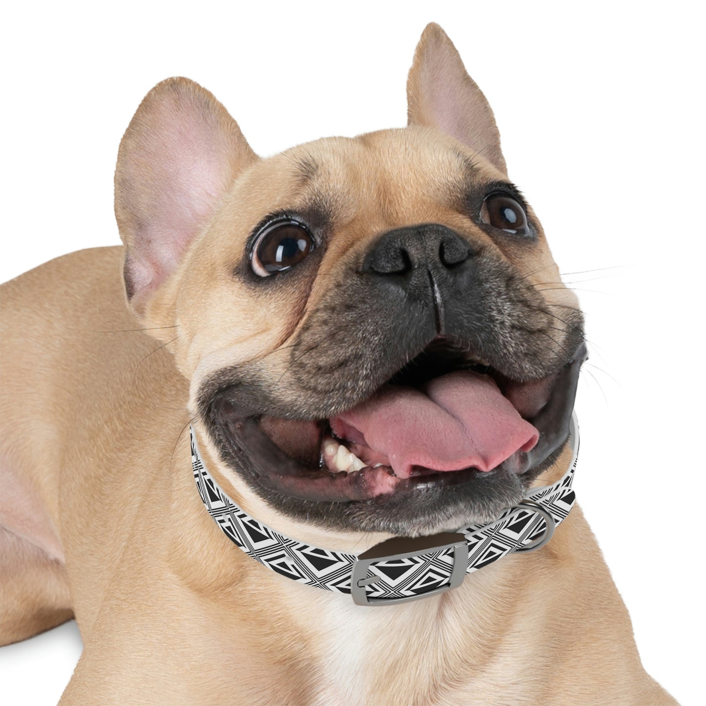 Dog Collar