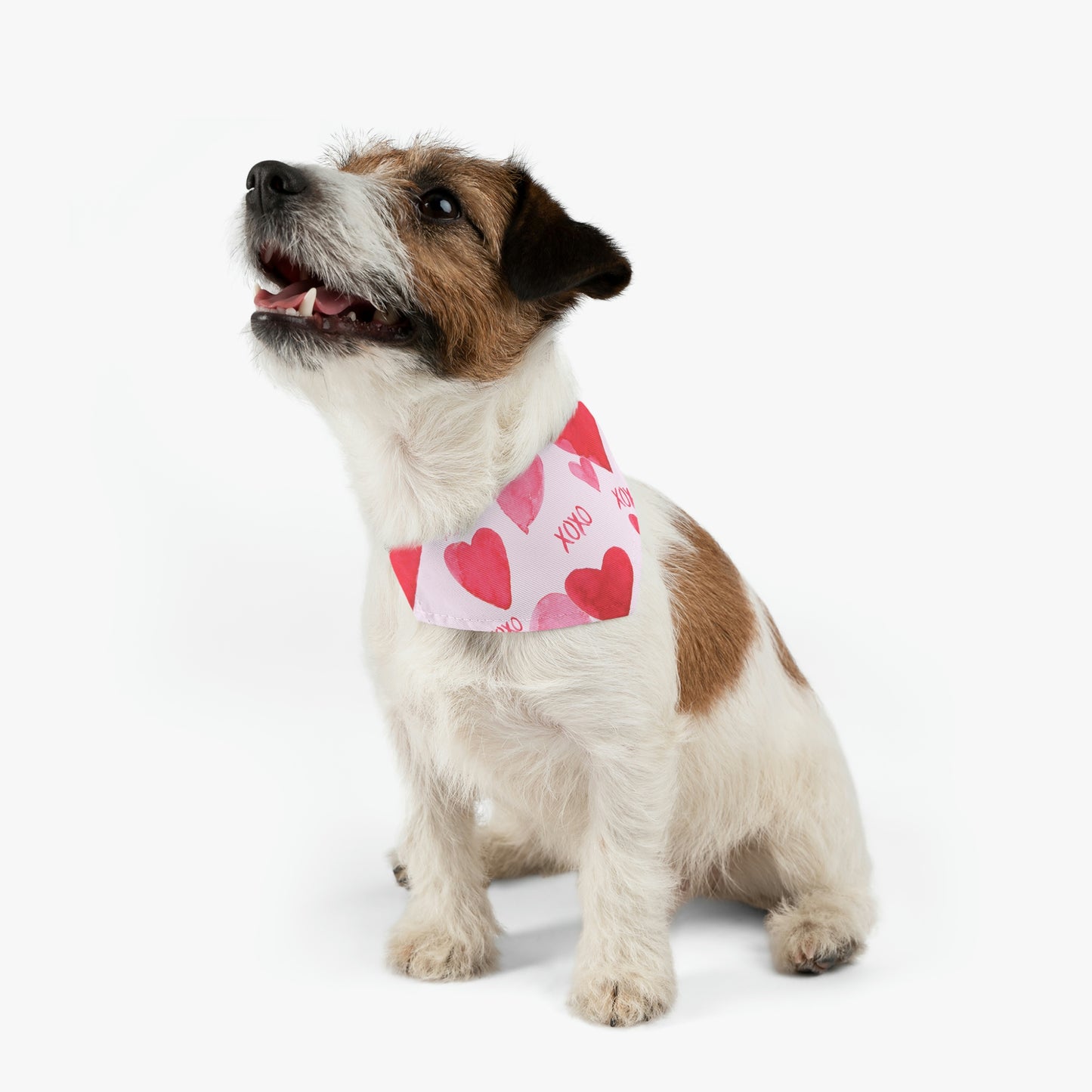 Pet Bandana Collar