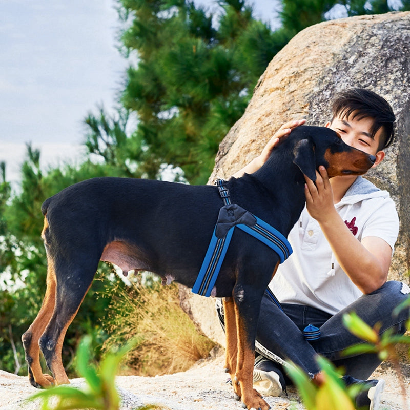 Reflective Dog Harness