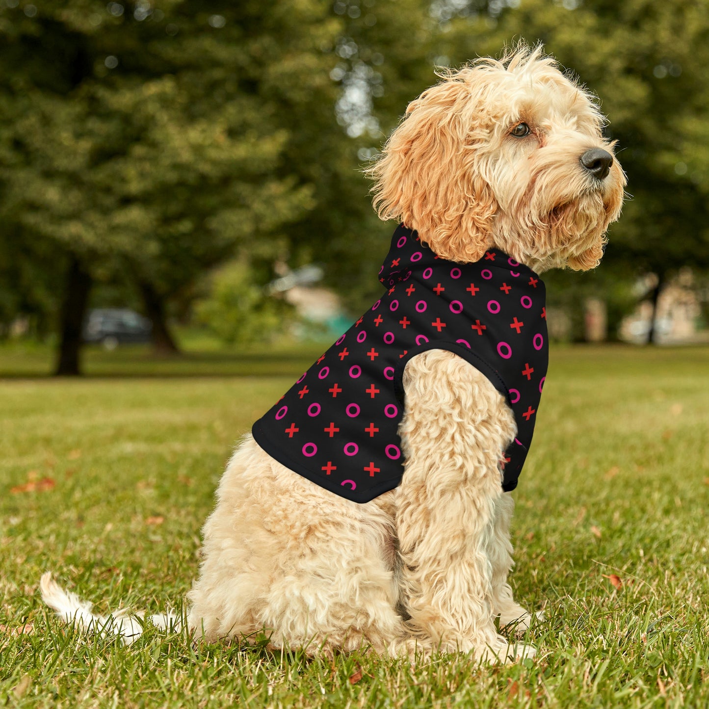 Dog Hoodie