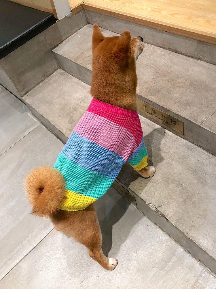Pet Sweater