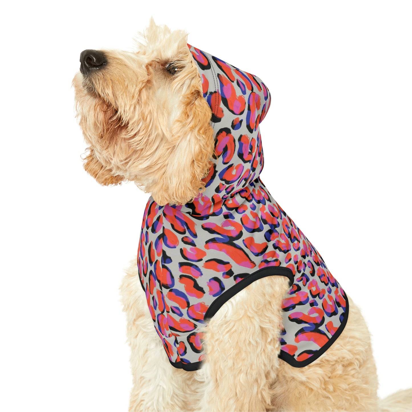 Dog Hoodie