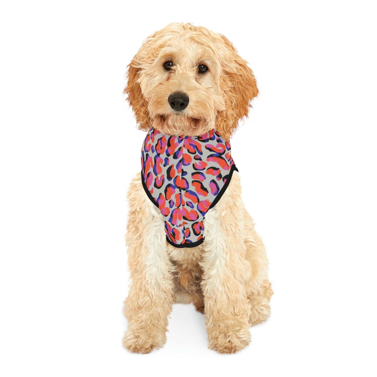 Dog Hoodie
