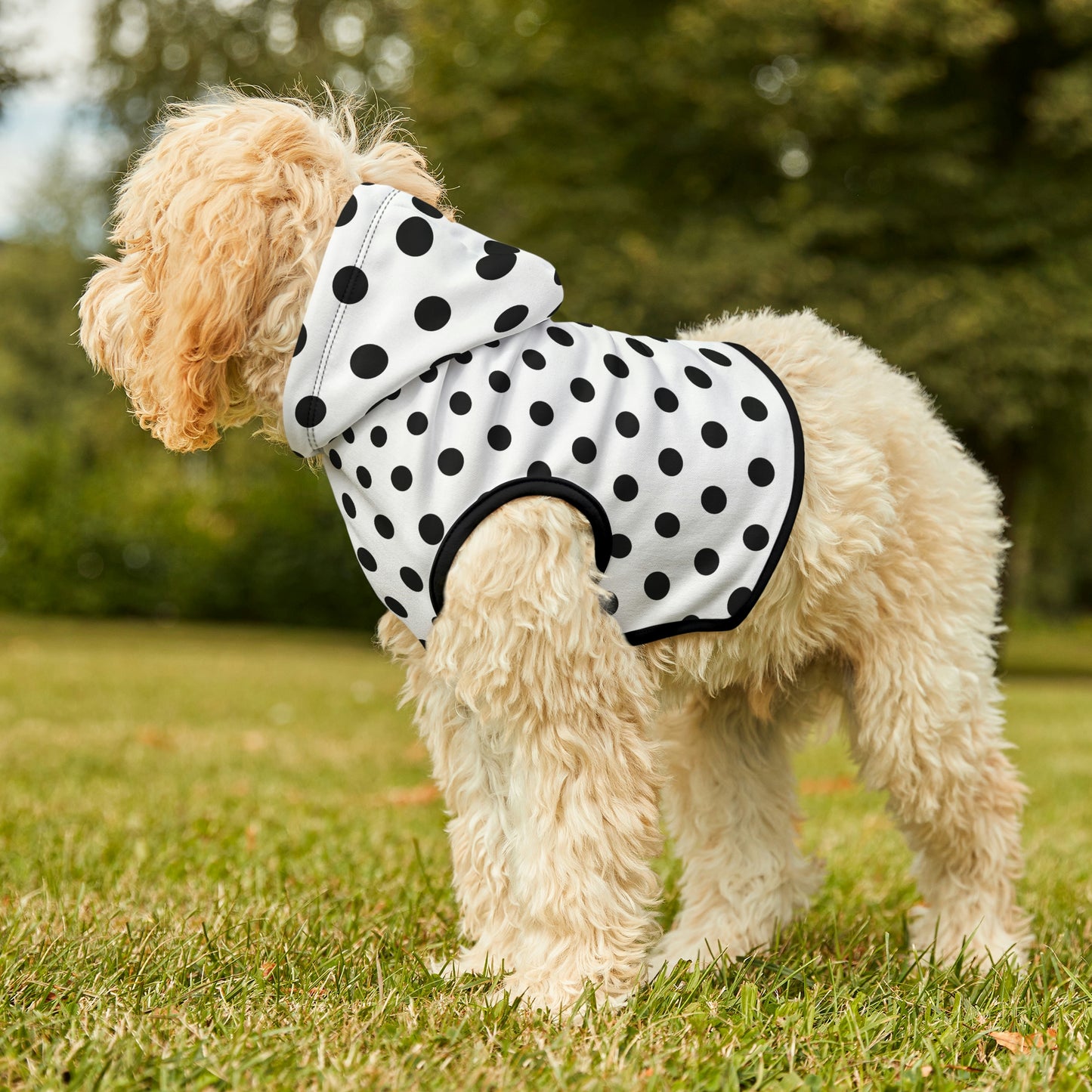 Dog Hoodie