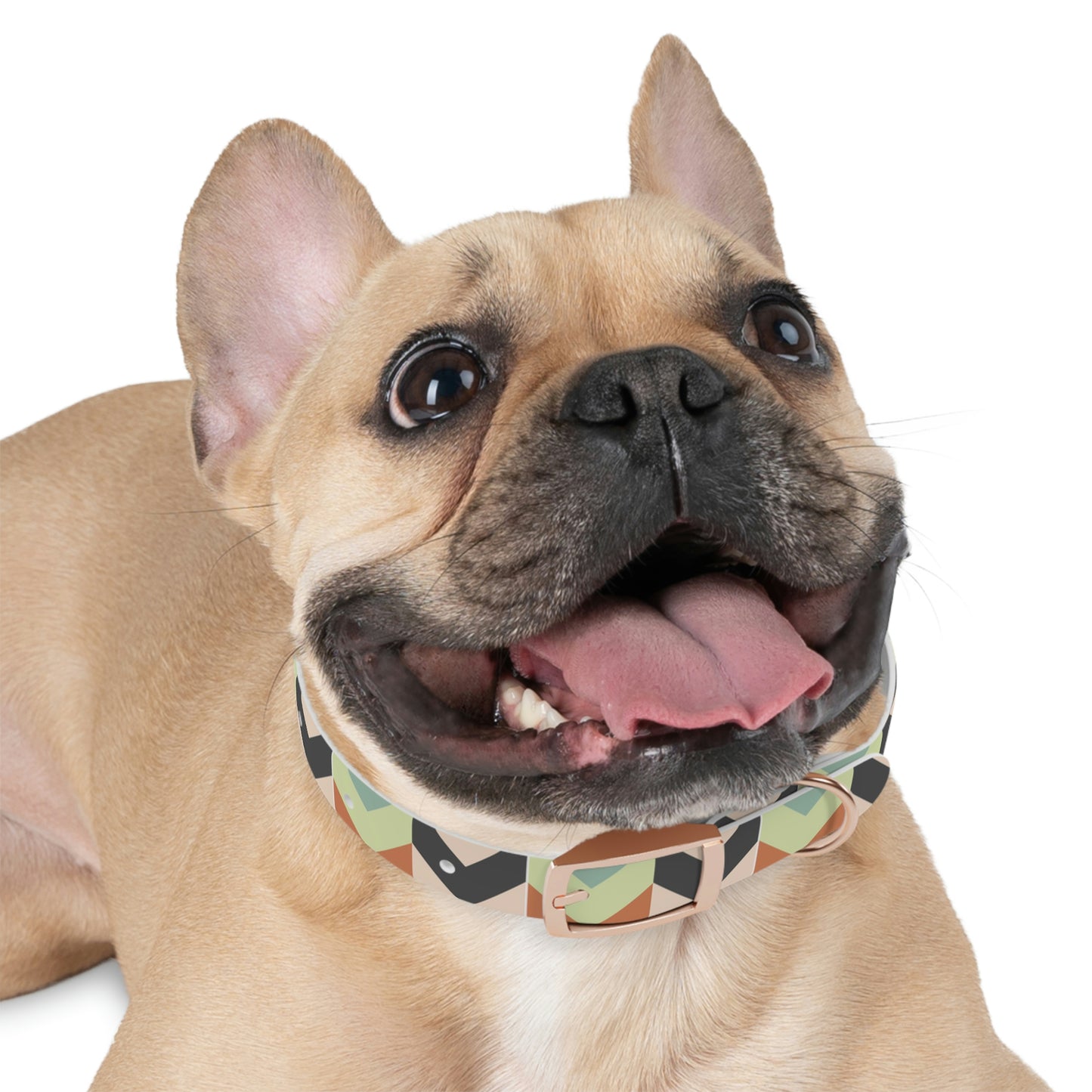 Dog Collar
