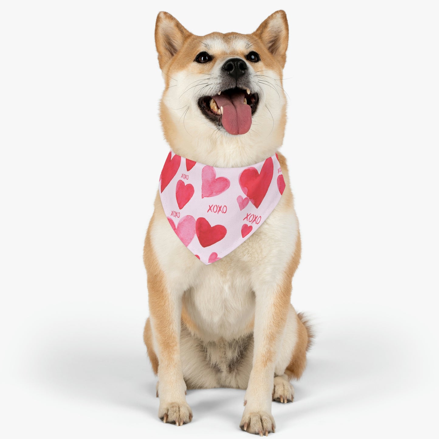 Pet Bandana Collar