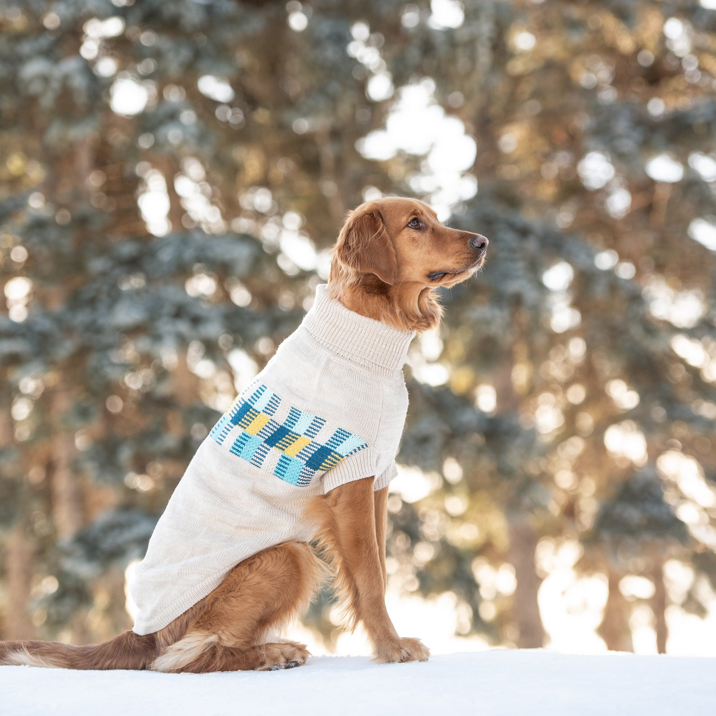 Winter Sailor Sweater (Oatmeal Mix)