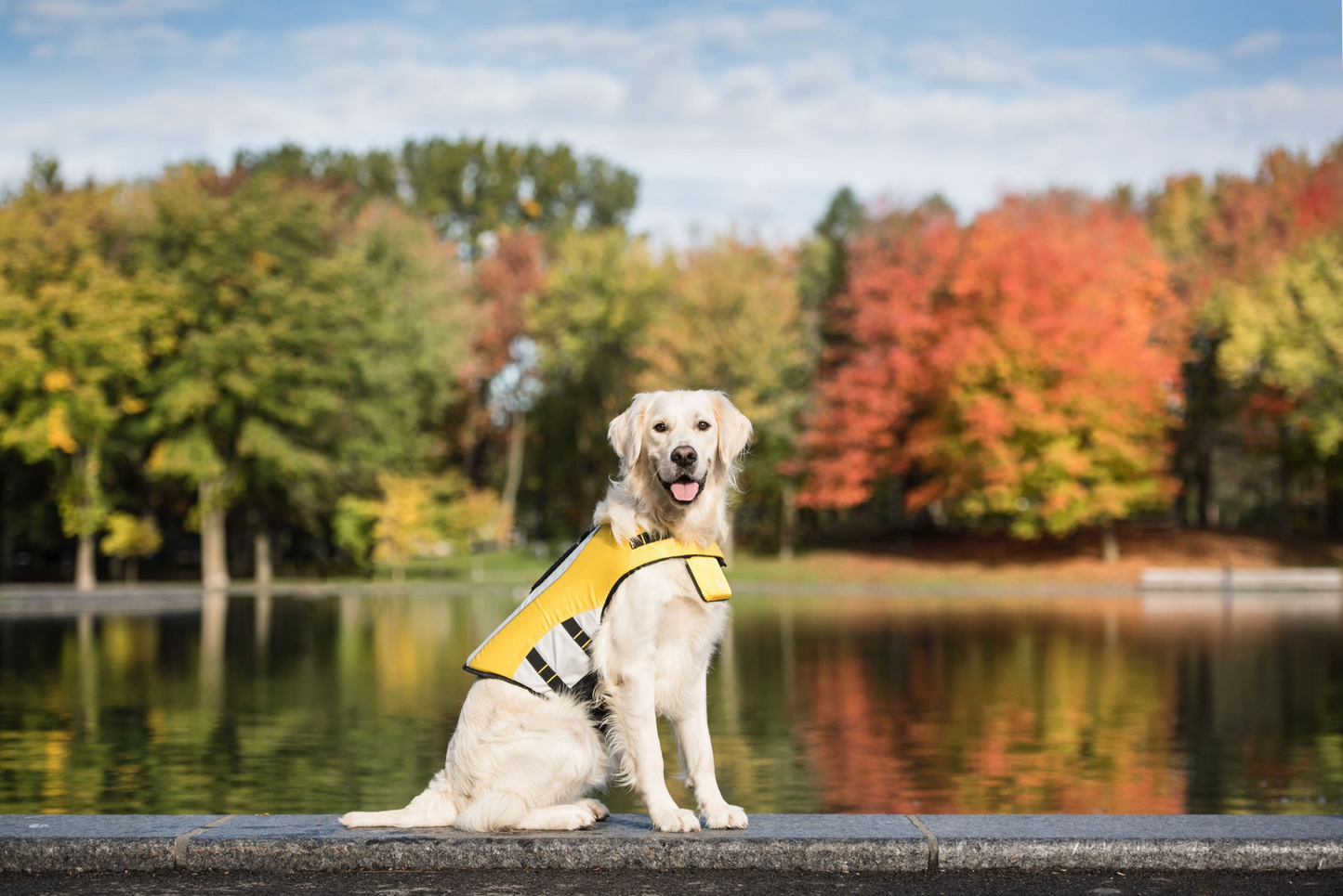 Dog Life Jacket (Yellow)