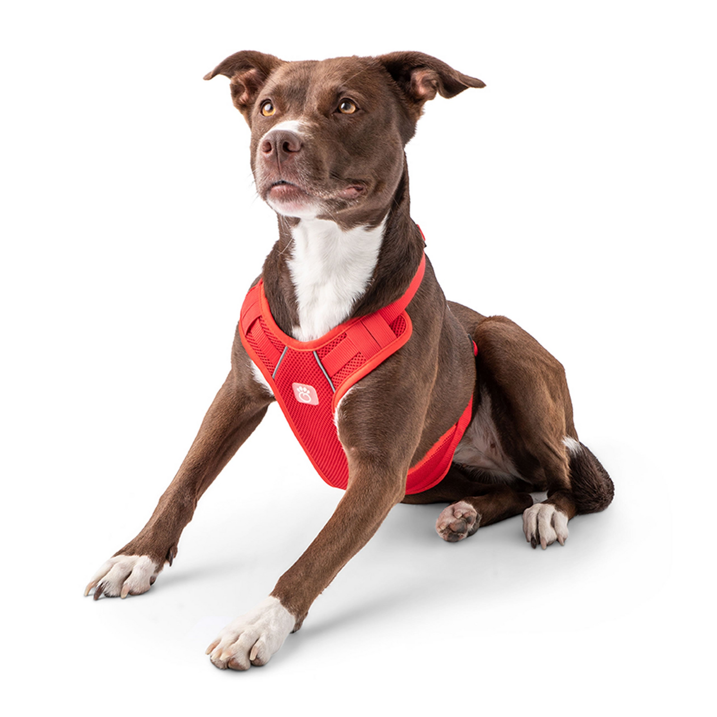 Travel Harness (Red)
