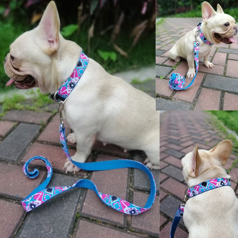 Pet Collar