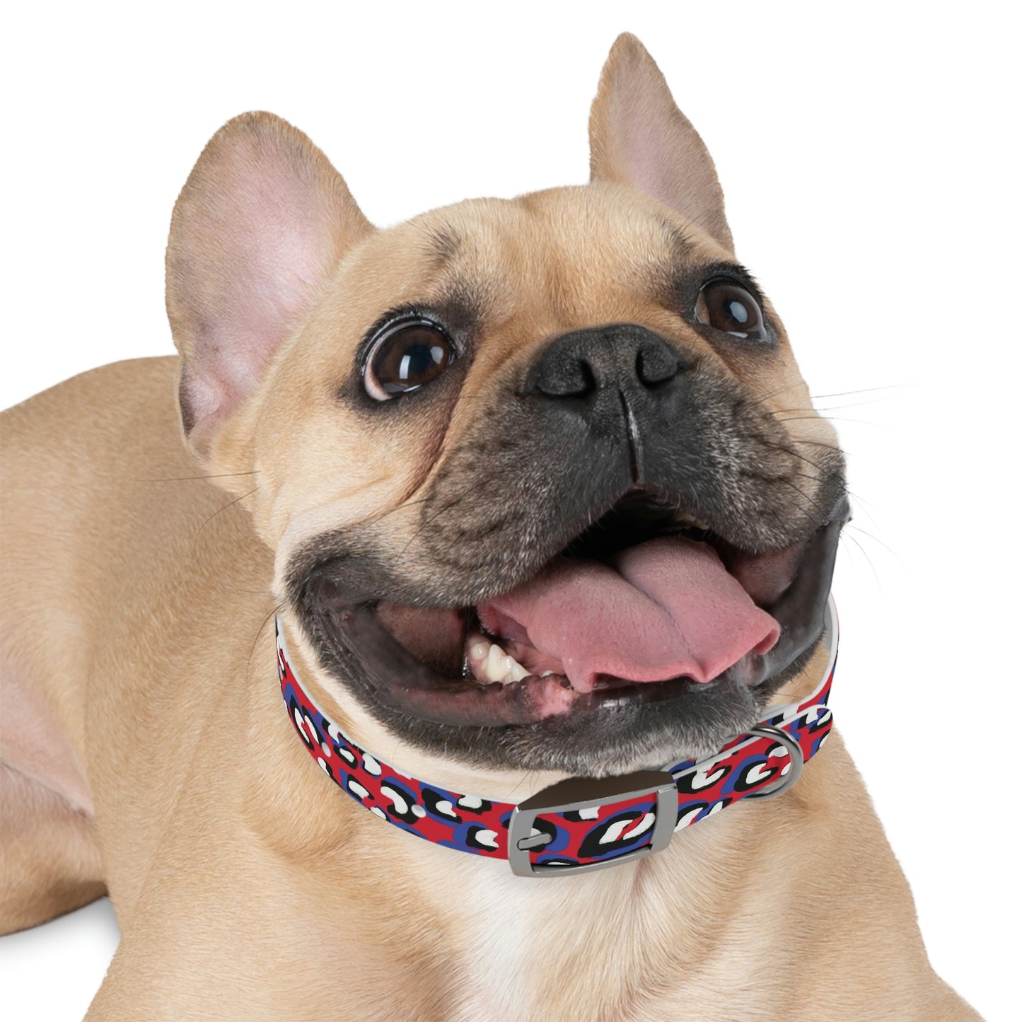 Dog Collar