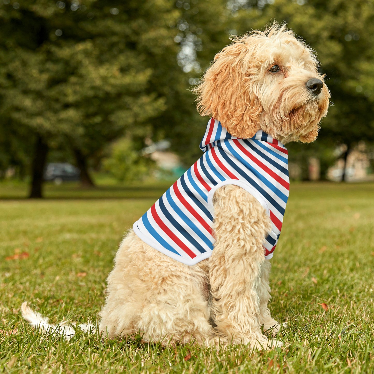Dog Hoodie