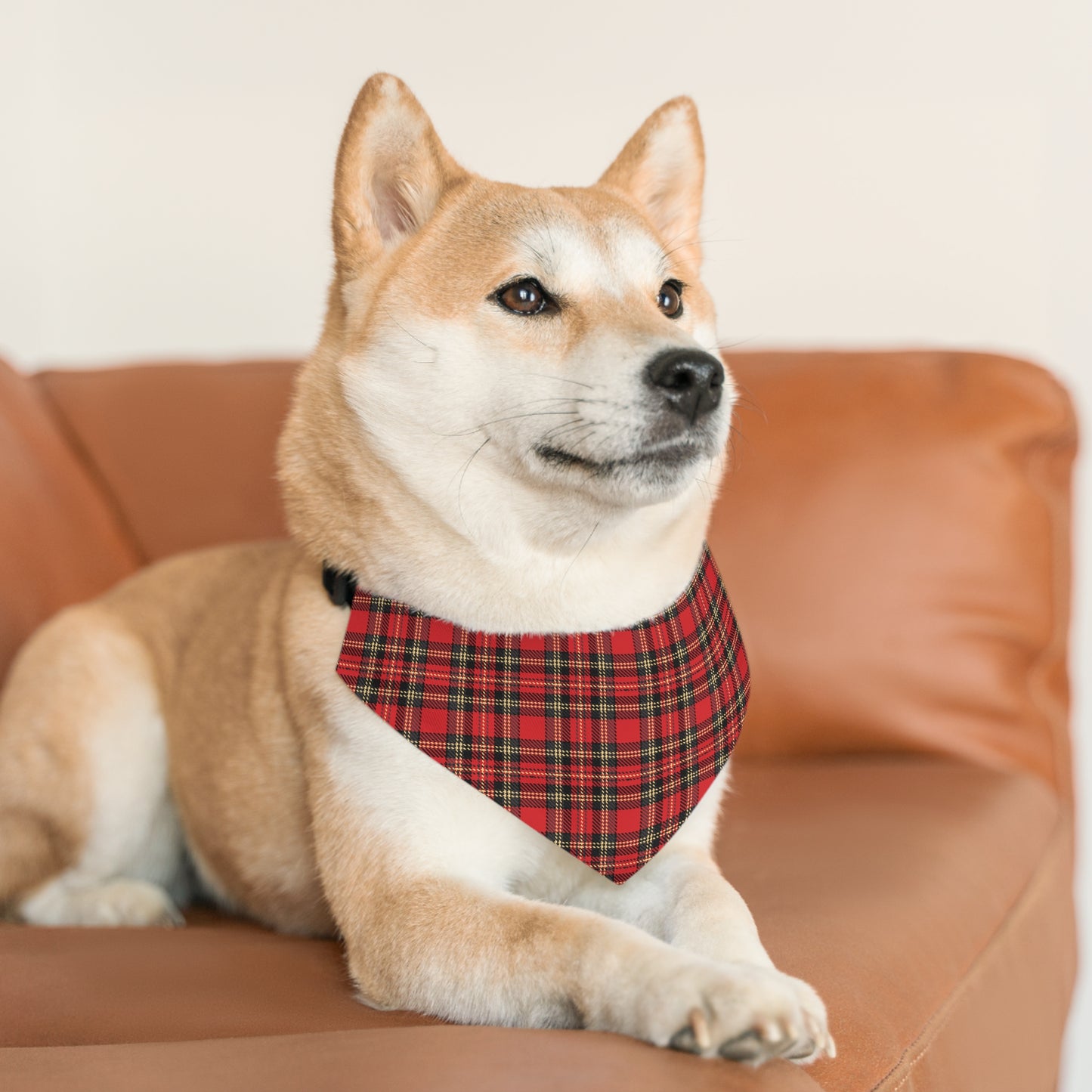 Pet Bandana Collar