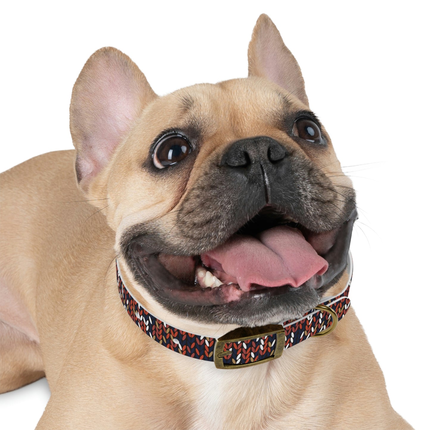 Dog Collar