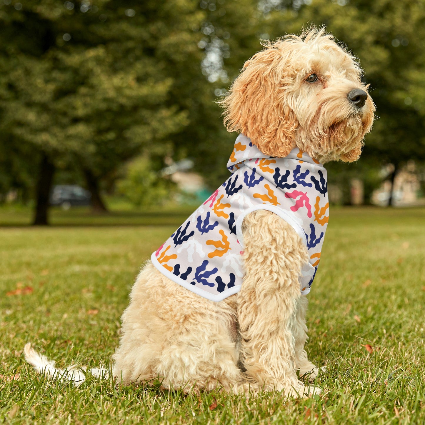 Dog Hoodie
