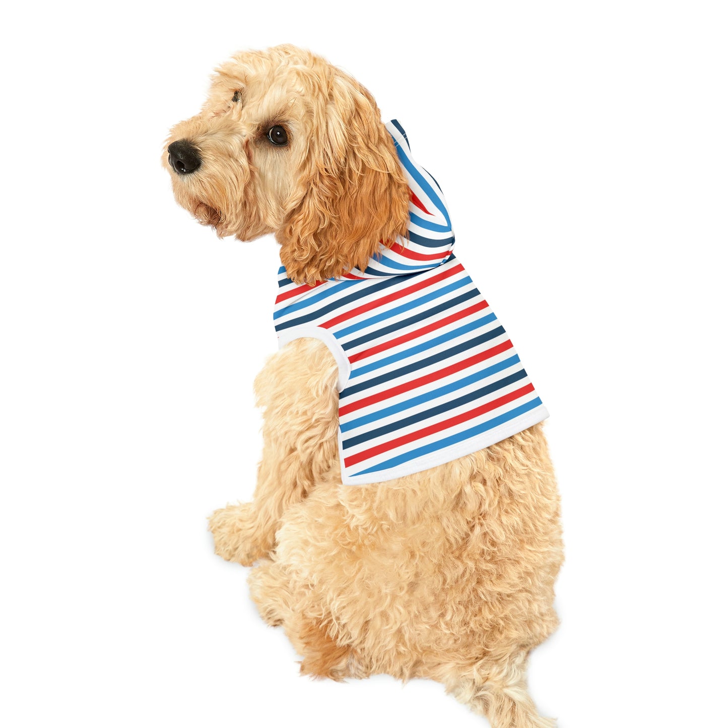 Dog Hoodie