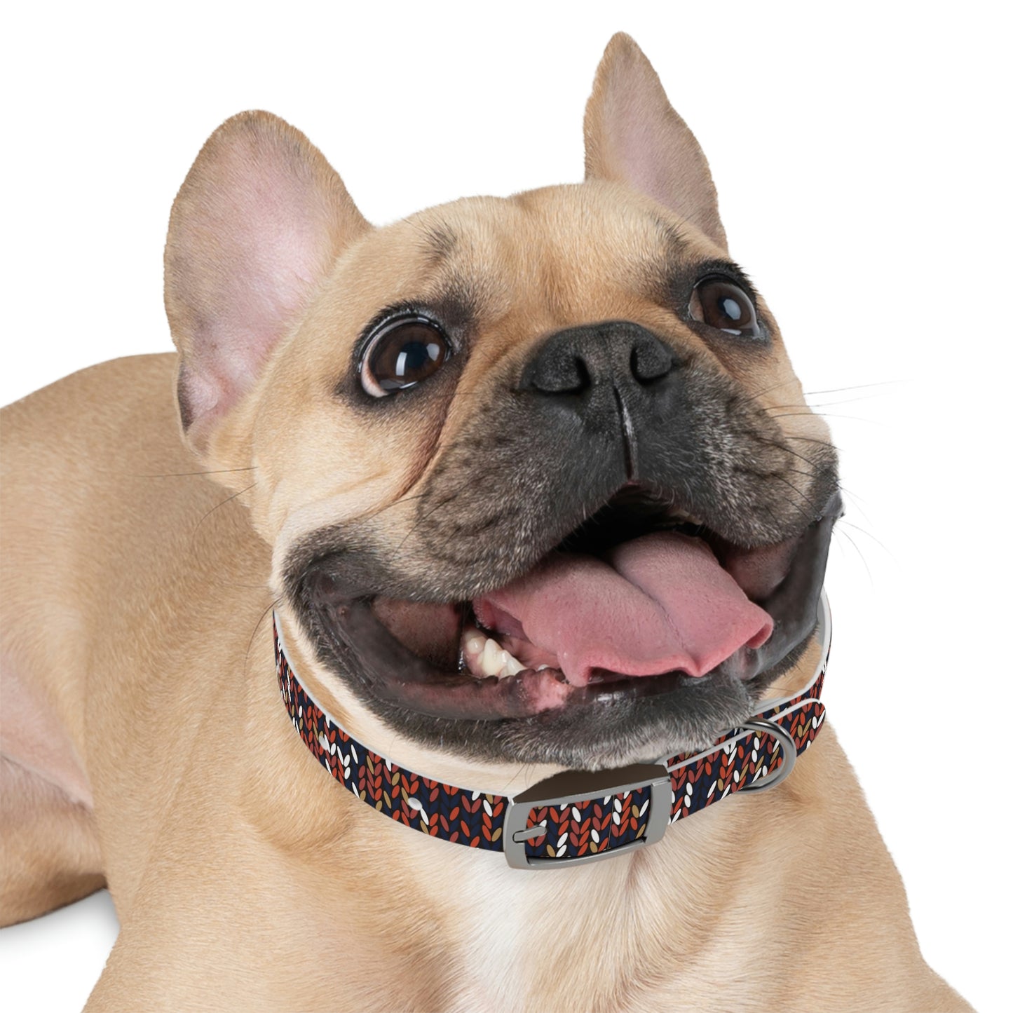 Dog Collar