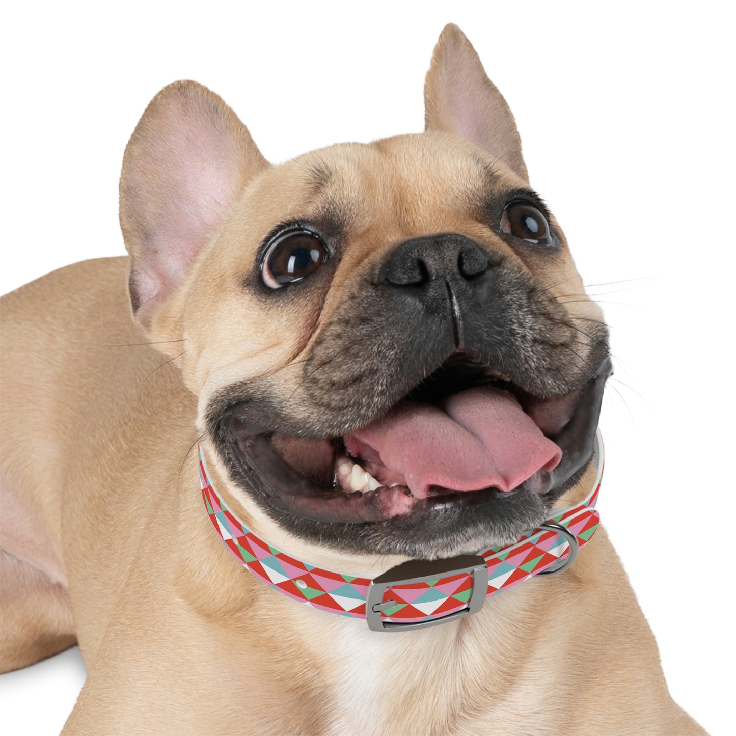 Dog Collar