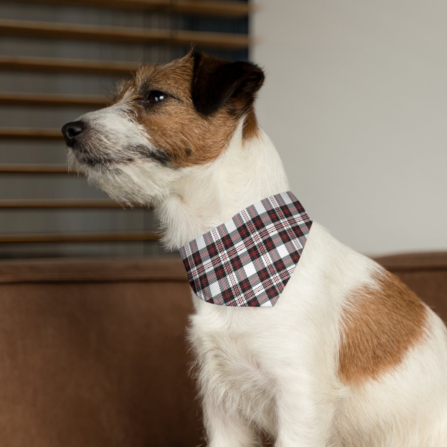Pet Bandana Collar
