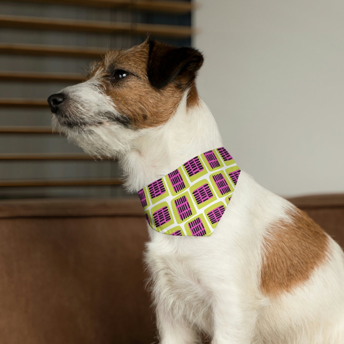 Pet Bandana Collar
