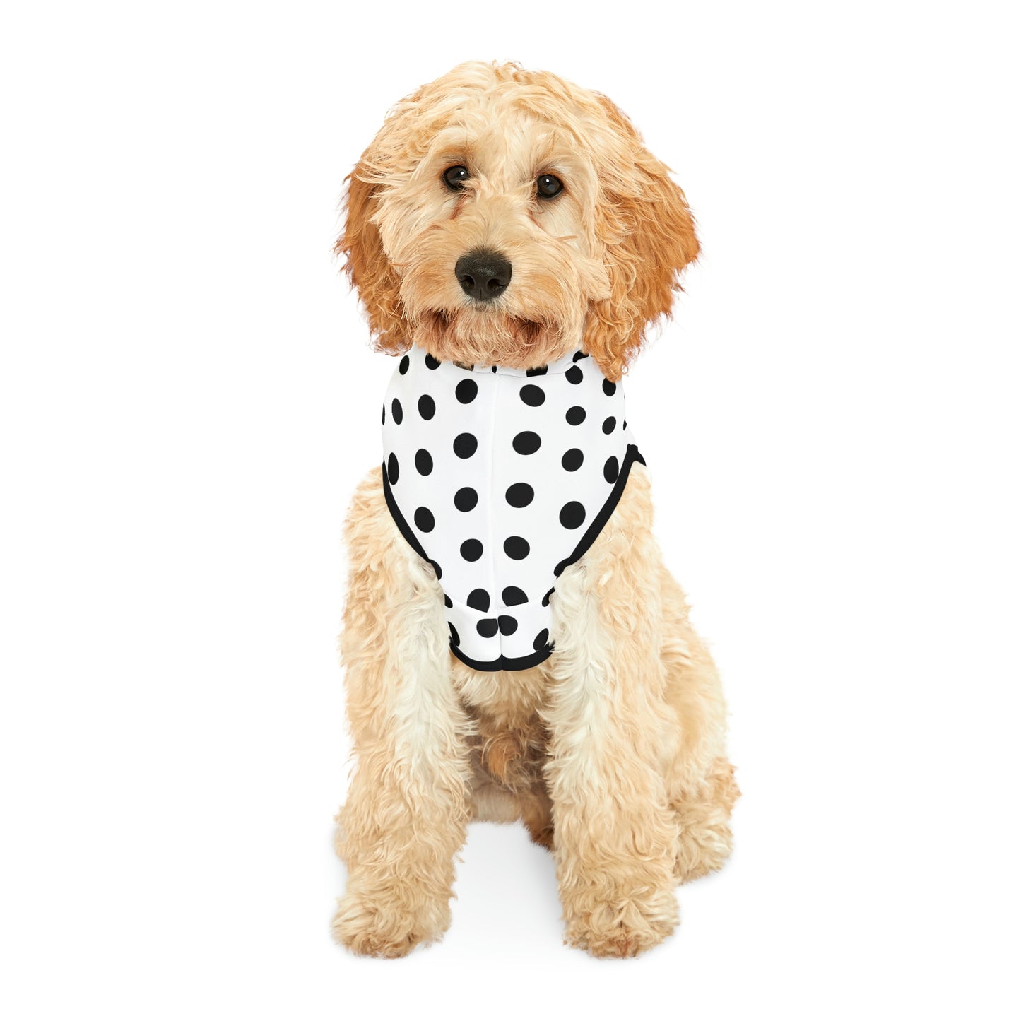 Dog Hoodie