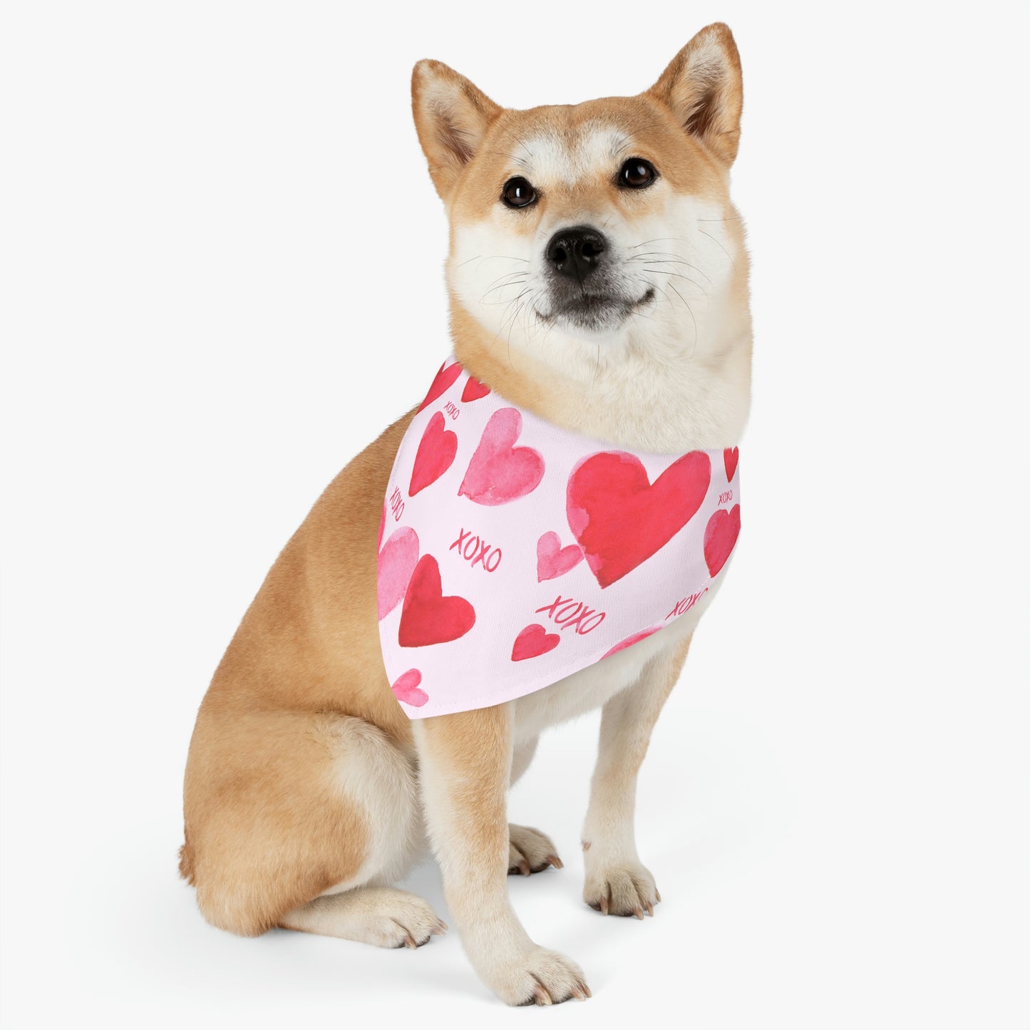 Pet Bandana Collar