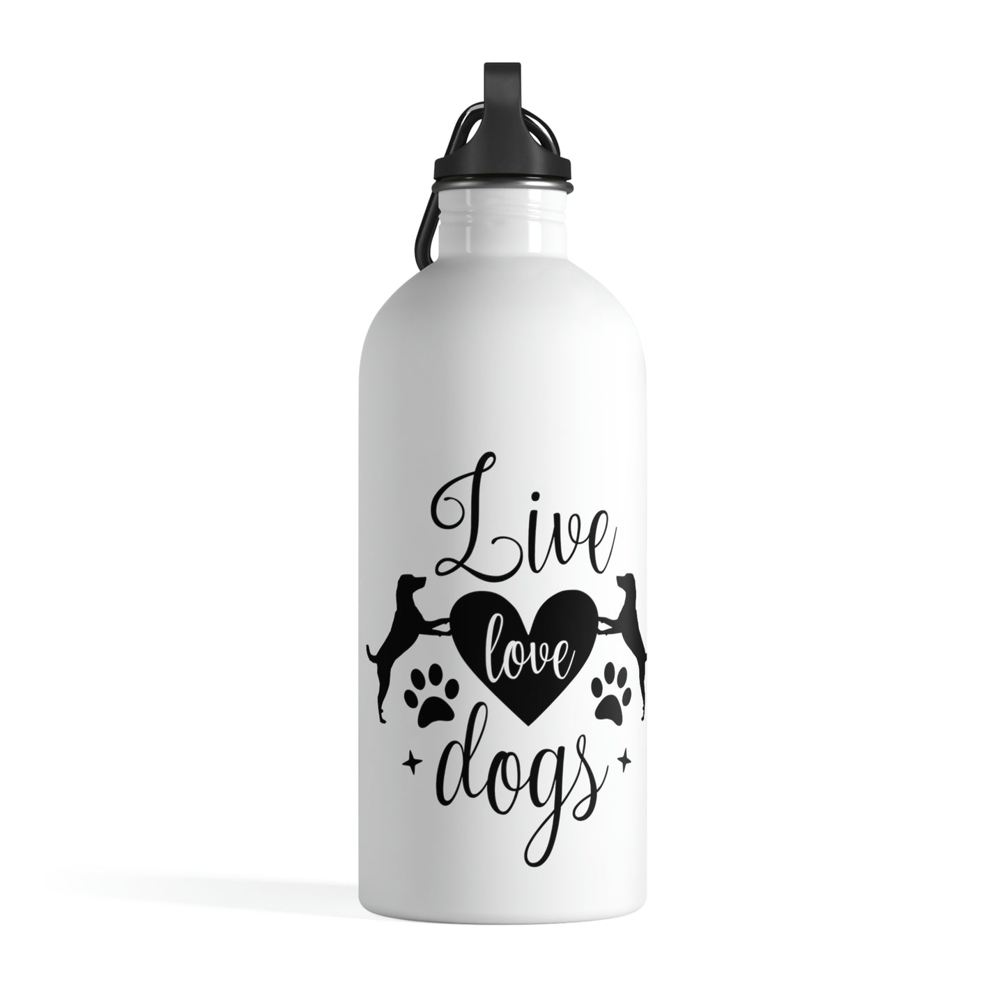 Stainless Steel Water Bottle