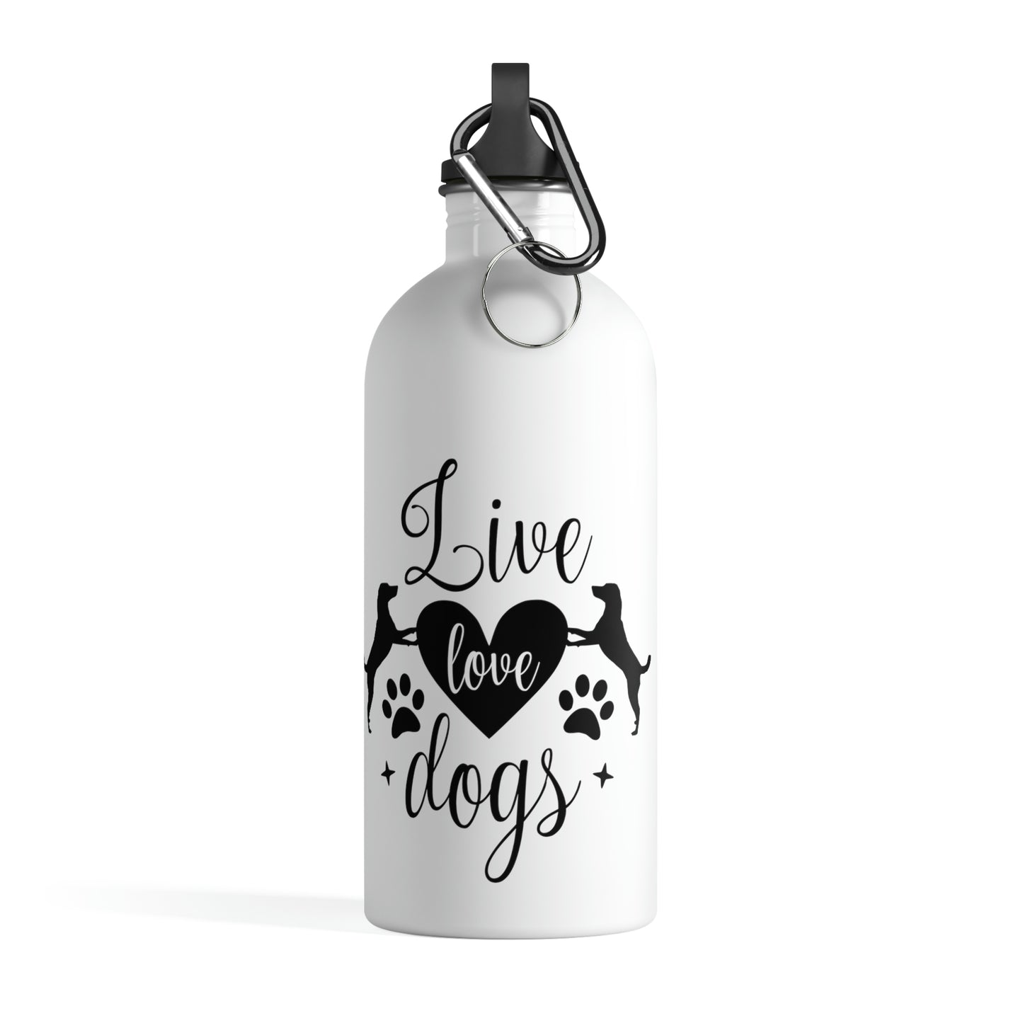Stainless Steel Water Bottle