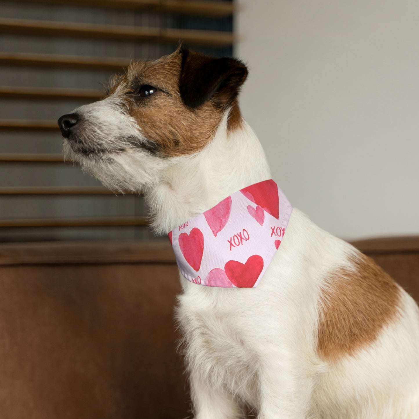 Pet Bandana Collar